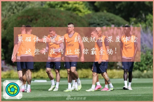 熊猫体育官网：新版玩法深度体验，这些小技巧让你称霸全场！