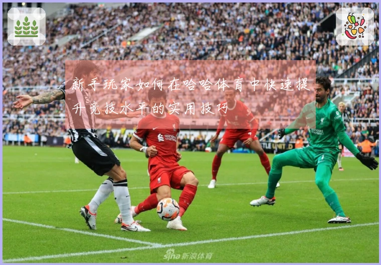 新手玩家如何在哈哈体育中快速提升竞技水平的实用技巧