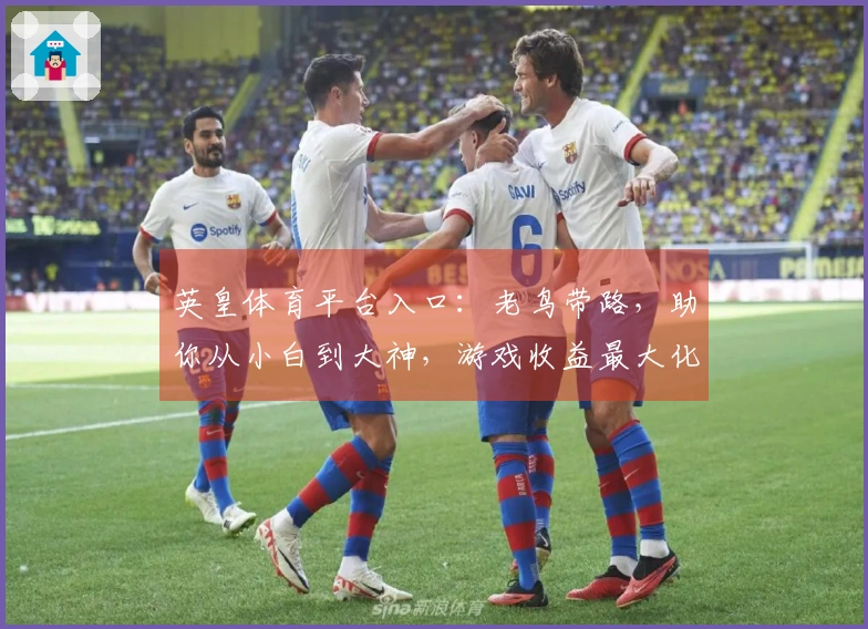 英皇体育平台入口：老鸟带路，助你从小白到大神，游戏收益最大化进阶指南