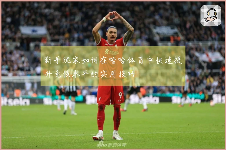 新手玩家如何在哈哈体育中快速提升竞技水平的实用技巧