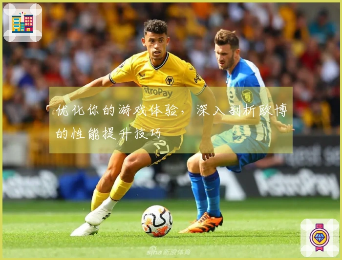 优化你的游戏体验，深入剖析欧博的性能提升技巧