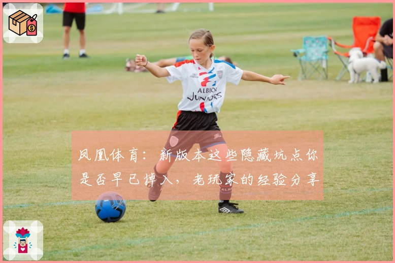 凤凰体育：新版本这些隐藏坑点你是否早已掉入，老玩家的经验分享助你轻松规避